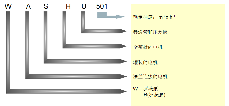 萊寶羅茨泵命名規則 萊寶羅茨泵命名規則