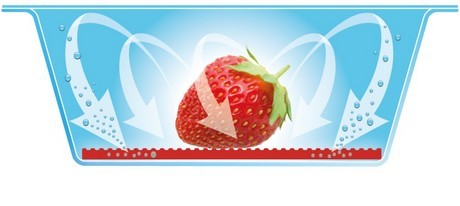 氣調(diào)包裝-水果 氣調(diào)包裝-水果